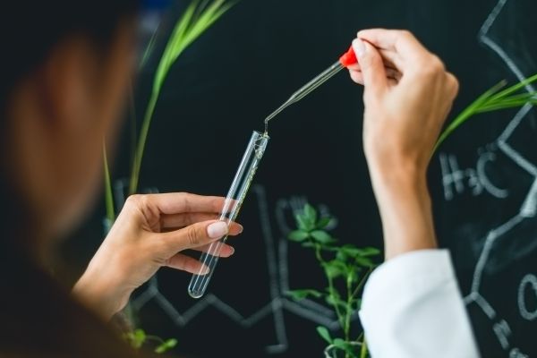 Research and Development